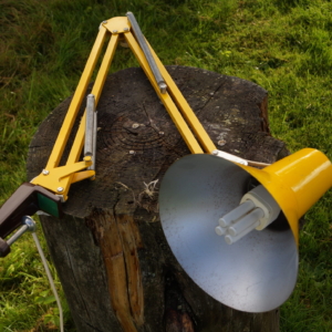 Klassisk arkitektlampe til skrivebordet. Solsikkegul